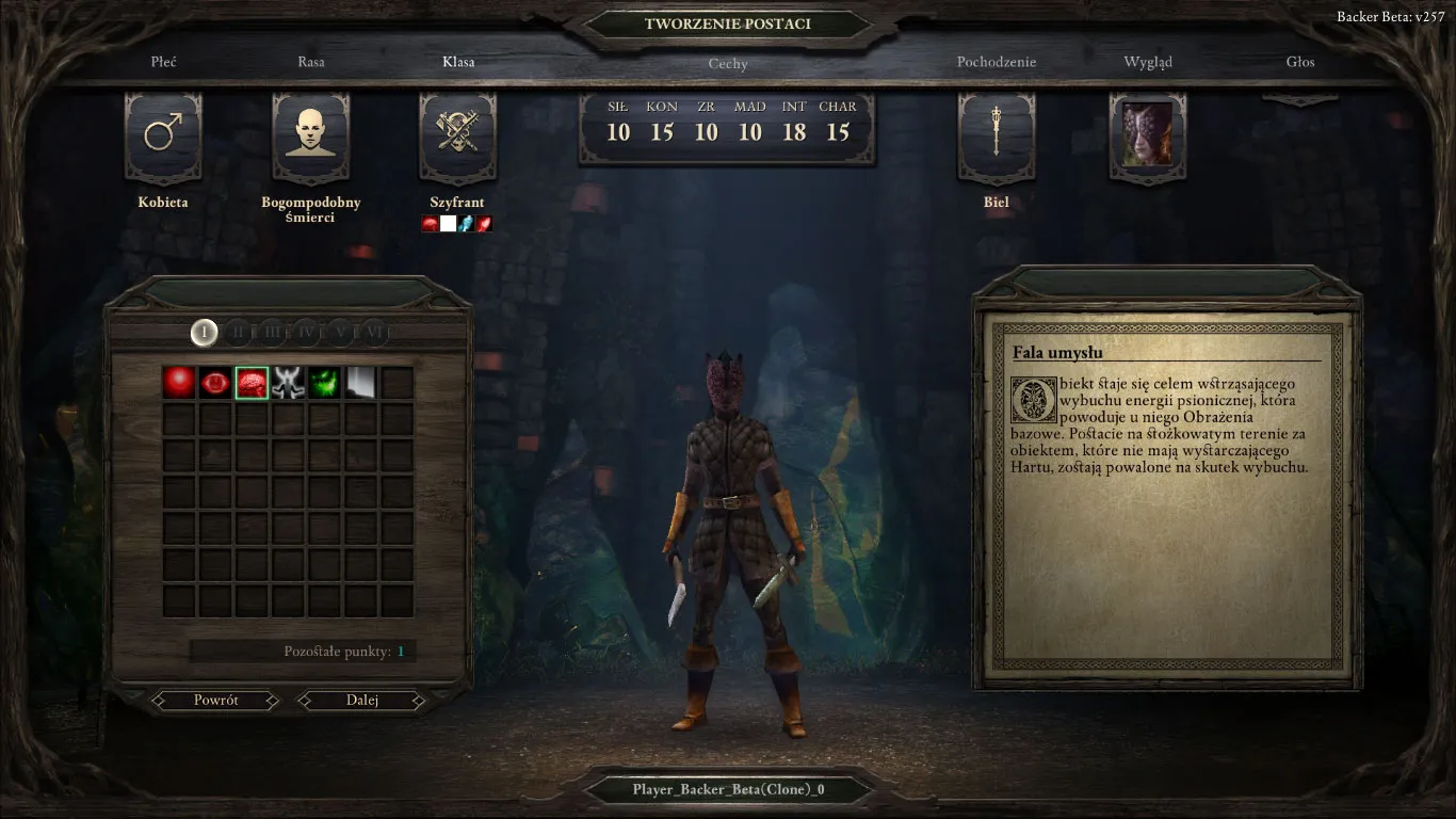 Pillars of Eternity – kreator postaci, ekwipunek i opis