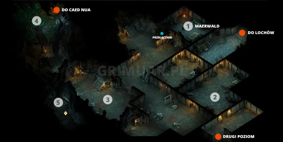 Mapa 1. poziomu Bezkresnych Ścieżek Od Nuy z oznaczeniami (Pillars of Eternity)